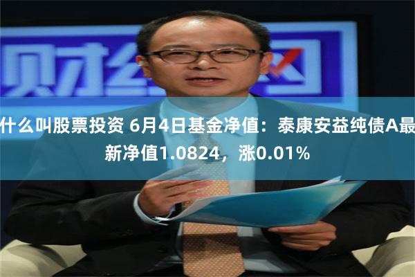 什么叫股票投资 6月4日基金净值：泰康安益纯债A最新净值1.0824，涨0.01%