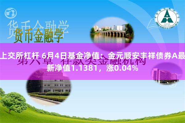 上交所杠杆 6月4日基金净值：金元顺安丰祥债券A最新净值1.1381，涨0.04%