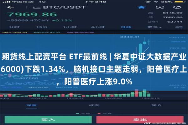 期货线上配资平台 ETF最前线 | 华夏中证大数据产业ETF(516000)下跌1.34%，脑机接口主题走弱，阳普医疗上涨9.0%