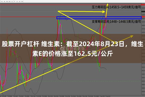 股票开户杠杆 维生素：截至2024年8月23日，维生素E的价格涨至162.5元/公斤