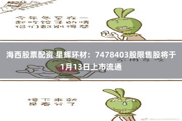 海西股票配资 星辉环材：7478403股限售股将于1月13日上市流通